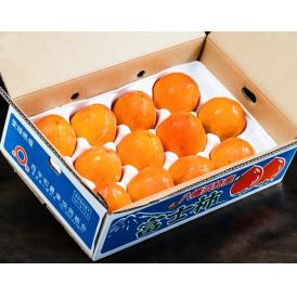 大玉　富士柿　愛媛県産 3～5L 約5kg（11～14玉）産地箱 風袋込 ※常温　送料無料