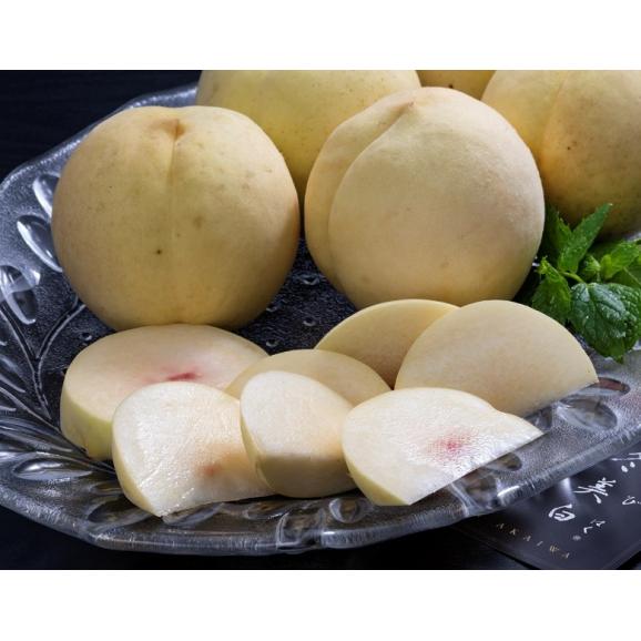 【カード・代引限定】糖度12度選別 岡山県産 赤磐の桃 冬美白 （とうびはく） ご自宅用 B品 5〜6玉 約1.5kg ※常温 送料無料04