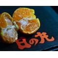 日の丸みかん 愛媛県産 2S〜M 計約5kg(約2.5kg×2箱)産地箱 風袋込 ※常温 JAにしうわ 送料無料