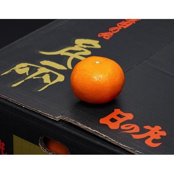 日の丸みかん 愛媛県産 2S〜M 計約5kg(約2.5kg×2箱)産地箱 風袋込 ※常温 JAにしうわ 送料無料02