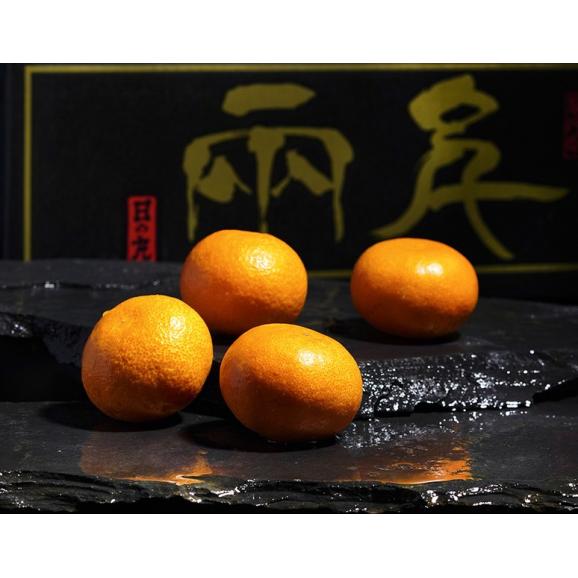 日の丸みかん 愛媛県産 2S〜M 計約5kg(約2.5kg×2箱)産地箱 風袋込 ※常温 JAにしうわ 送料無料03