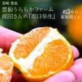 【正規品】前田晃佑さんの 原口早生みかん 約3kg (バラ詰め・2S〜M込) 長崎県産 雲仙うららかファーム ※常温 送料無料