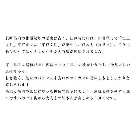 【正規品】前田晃佑さんの 原口早生みかん 約3kg (バラ詰め・2S〜M込) 長崎県産 雲仙うららかファーム ※常温 送料無料04