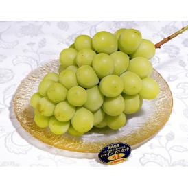 最上位等級 赤秀品　晴王 シャインマスカット 岡山県産 2房 計約1kg 簡易箱 ※冷蔵　ぶどう　葡萄　送料無料