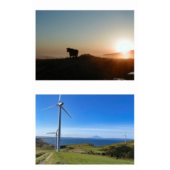 北海道宗谷岬和牛の直火焼きローストビーフ 1個 500g以上 【ソース付】 ※冷凍04