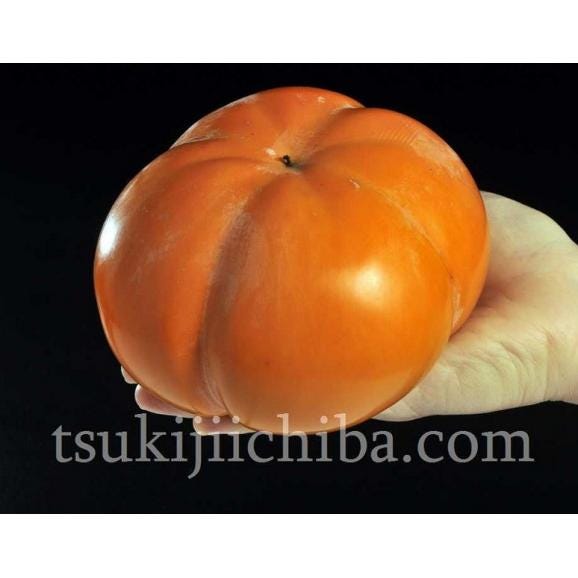 【カード・代引限定】 太天柿　愛媛県産 秀品 約3.5kg （5〜8玉） 産地箱 ※常温　たいてんかき　送料無料02