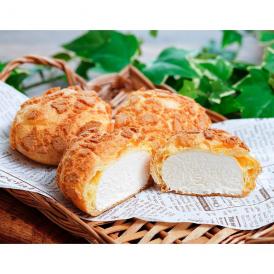 北海道 富良野メロンパンシュー 5パック 計10個 （1P 2個入り） ※冷凍