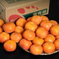 富有柿 和歌山県産 秀品 L〜2L 約7.5kg (28〜32玉) 産地箱 ※冷蔵 送料無料