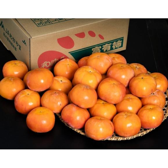 富有柿 和歌山県産 秀品 L〜2L 約7.5kg (28〜32玉) 産地箱 ※冷蔵 送料無料02