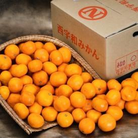 【カード代引限定】 ご自宅用 こたつみかん 愛媛県産 S〜L 約10kg 簡易箱 ※常温 送料無料