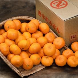 【カード代引限定】 大玉 ご自宅用 こたつみかん 愛媛県産 2L 約9kg 簡易箱 ※常温 送料無料