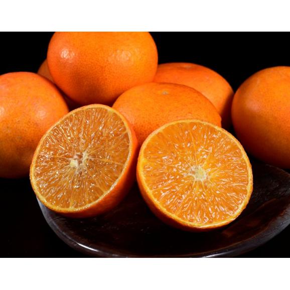 【カード・代引限定】 あまくさ JAからつ 佐賀県産 約2.5kg (12~15玉) 化粧箱入 ※常温 送料無料03