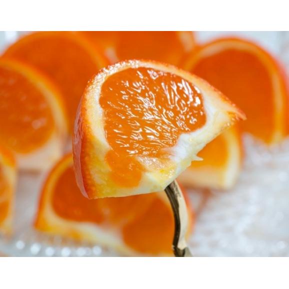 みはや 熊本県産 中〜大サイズ 約4.5kg 田の浦柑橘組合 産地箱 ※常温 送料無料02