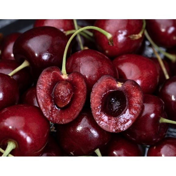無燻蒸 ダークチェリー(日本のL〜2Lサイズ相当)ニュージーランド産 約1kg 簡易箱 ※冷蔵 送料無料03