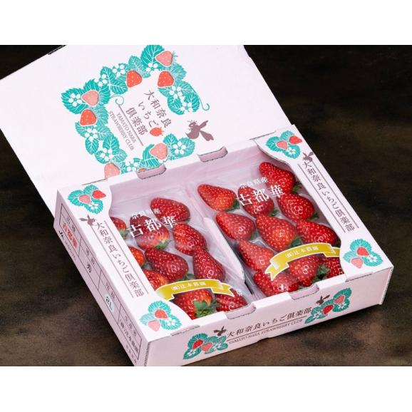 古都華 奈良県産 いちご L〜2L 約250g&times;4パック 産地箱 ※冷蔵 送料無料02