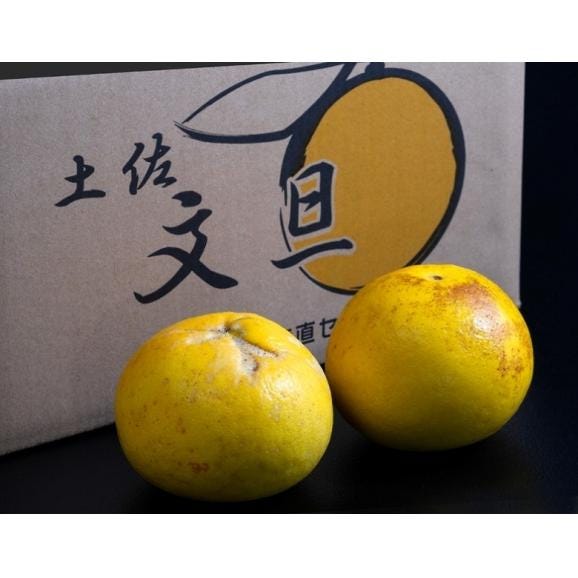 ご自宅用 土佐文旦 高知県産 戸波選果場 L〜5L 約5kg 産地箱 風袋込 キズ・スレ等あり ※常温 送料無料 文旦04