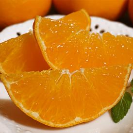 ご自宅用 バラ詰め 甘平 （かんぺい）愛媛県産 M〜5L 約5kg 産地箱 ※常温 送料無料