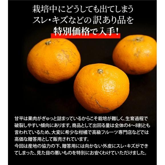 ご自宅用 バラ詰め 甘平 （かんぺい）愛媛県産 M〜5L 約5kg 産地箱 ※常温 送料無料04