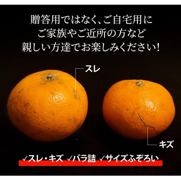 ご自宅用 バラ詰め 甘平 （かんぺい）愛媛県産 M〜5L 約5kg 産地箱 ※常温 送料無料05