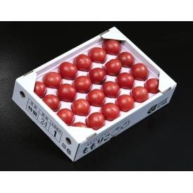 【2箱】 糖度8度選別 ももりこトマト 徳島県産 フルーツトマト 特選 風袋込 約1kg×2箱 （1箱：15〜24玉） 樫山農園 産地箱 ※常温 送料無料