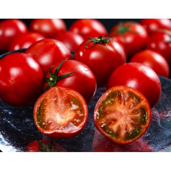 【2箱】 糖度8度選別 ももりこトマト 徳島県産 フルーツトマト 特選 風袋込 約1kg×2箱 (1箱:15〜24玉) 樫山農園 産地箱 ※常温 送料無料03