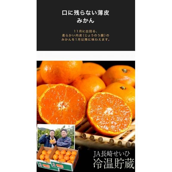 冷温貯蔵みかん 長崎県産 秀品 M～L 約1.2kg&times;2箱 産地箱 ※常温 送料無料02