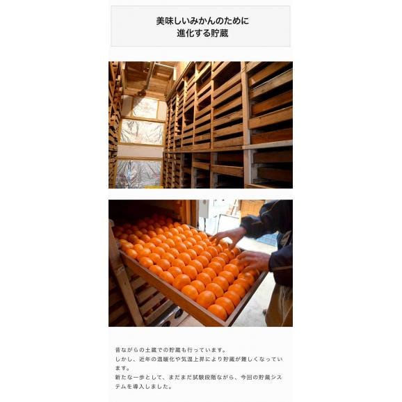 冷温貯蔵みかん 長崎県産 秀品 M～L 約1.2kg&times;2箱 産地箱 ※常温 送料無料05