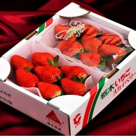 スカイベリー いちご 栃木県産 4パック 等級：G （1パック：約280g）産地箱 ※冷蔵 送料無料