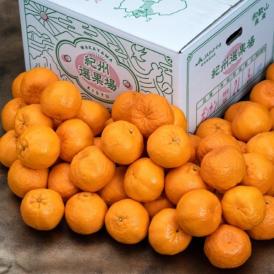 紀州選果場 ポンカン 和歌山県産 L〜4L 約9kg 産地箱 ※常温 送料無料