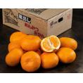 蔵出し 熟成みかん あんみつ姫 佐賀県産 佐賀県産 2L〜3Lサイズ 約3kg （12〜15玉） 産地箱 ※常温 送料無料