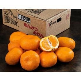 蔵出し 熟成みかん あんみつ姫 佐賀県産 佐賀県産 2L〜3Lサイズ 約3kg （12〜15玉） 産地箱 ※常温 送料無料