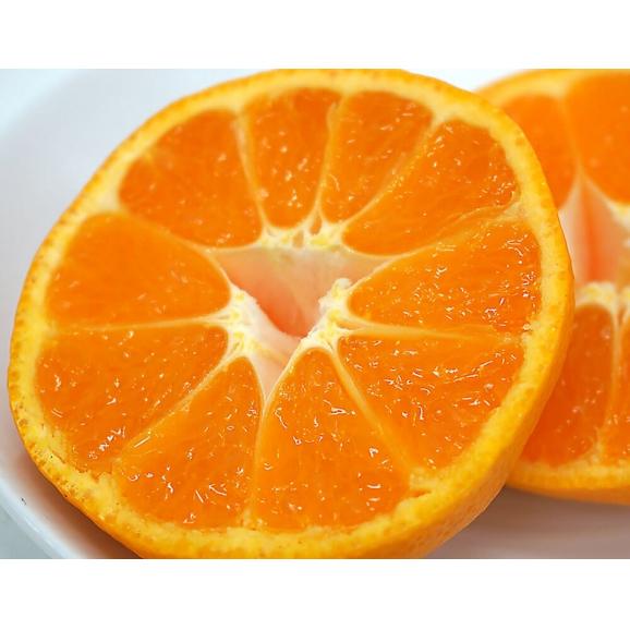 蔵出し 熟成みかん あんみつ姫 佐賀県産 佐賀県産 2L〜3Lサイズ 約3kg （12〜15玉） 産地箱 ※常温 送料無料02