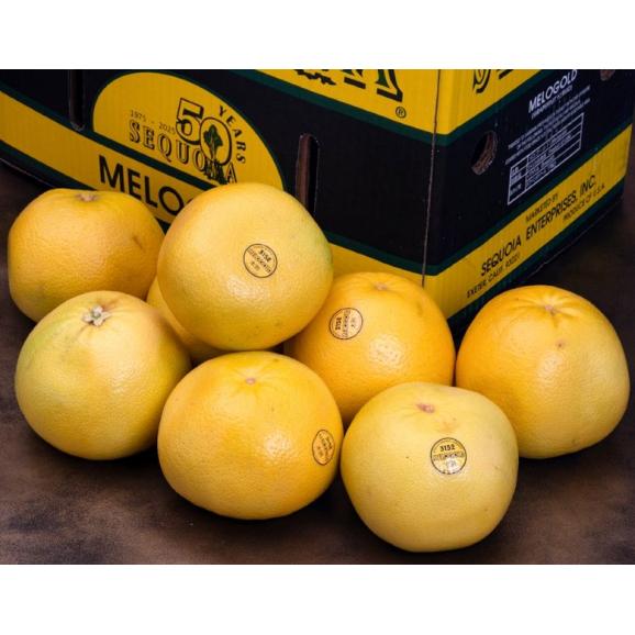 完熟 メロゴールド カリフォルニア産 柑橘 約3kg（4〜8玉）簡易箱 ※常温 送料無料03