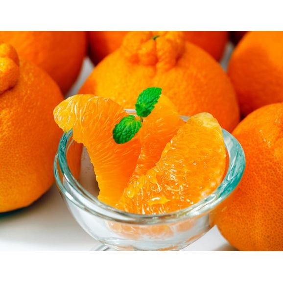 糖度13度選別 デコポン 和歌山県産 約5kg（18〜24玉）産地箱 ※常温 送料無料02