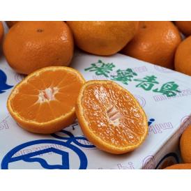 三ヶ日みかん 濃密青島 静岡県産 2〜3Lサイズ 約3.5kg 産地箱 ※常温 JAみっかび 送料無料