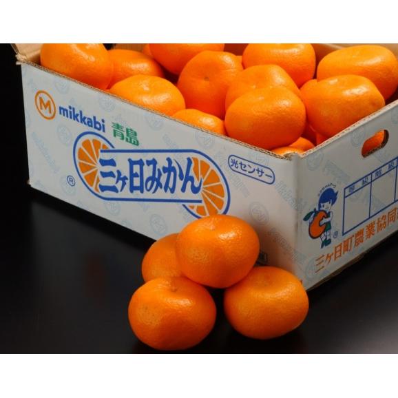 三ヶ日みかん 濃密青島 静岡県産 2〜3Lサイズ 約3.5kg 産地箱 ※常温 JAみっかび 送料無料03