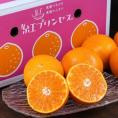 新品種 紅プリンセス （品種：愛媛果試第48号） 愛媛県産 M〜4L 約2.4kg 簡易箱 ※常温 柑橘 送料無料