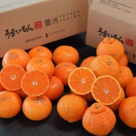 訳あり品 デコポン＆せとか セット （デコポン約3kg、せとか約2kg）外皮の傷あり品 計約5kg 簡易箱 ※冷蔵 送料無料