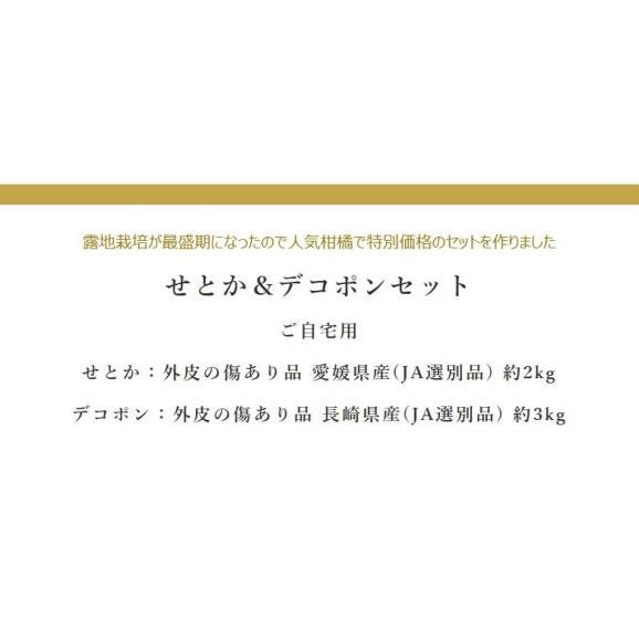 訳あり品 デコポン＆せとか セット （デコポン約3kg、せとか約2kg）外皮の傷あり品 計約5kg 簡易箱 ※冷蔵 送料無料02