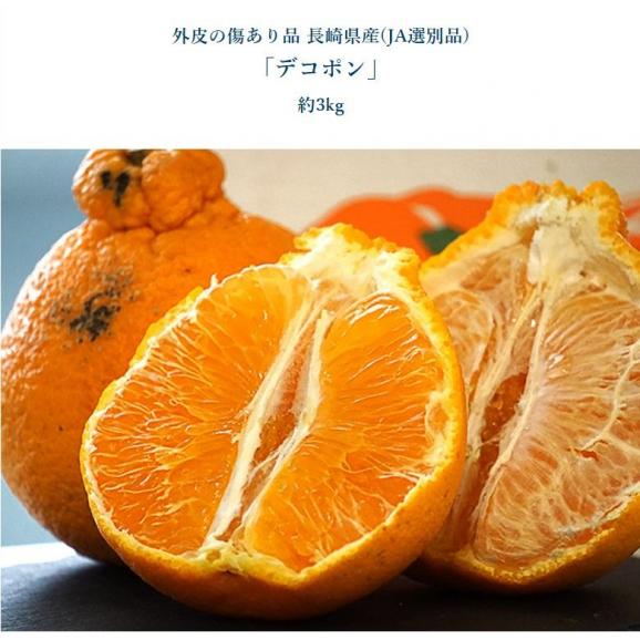 訳あり品 デコポン＆せとか セット （デコポン約3kg、せとか約2kg）外皮の傷あり品 計約5kg 簡易箱 ※冷蔵 送料無料05