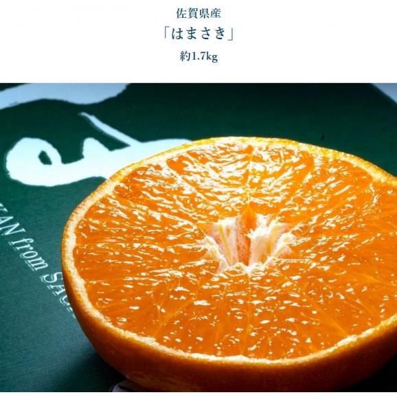 ご自宅用 柑橘3種セット (デコポン＆甘平＆はまさき) 合計約5kg （各1.7kg程度）※外皮の傷あり品 ※常温 送料無料05