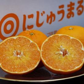 にじゅうまる 佐賀県産 柑橘 M〜4L 約2.4kg 簡易箱 ※常温 送料無料