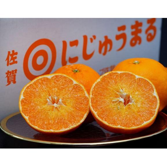 にじゅうまる 佐賀県産 柑橘 M〜4L 約2.4kg 簡易箱 ※常温 送料無料02