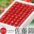 母の日ギフト 佐藤錦 山形県産 温室さくらんぼ Lサイズ 特秀品 約300g 化粧箱 ※常温 カーネーション(造花)・メッセージカード付 産地直送 送料無料