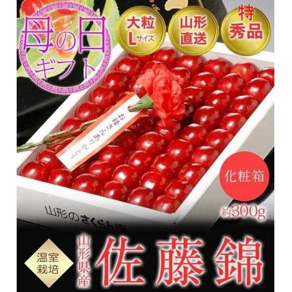 母の日ギフト 佐藤錦 山形県産 温室さくらんぼ Lサイズ 特秀品 約300g 化粧箱 ※常温 カーネーション(造花)・メッセージカード付 産地直送 送料無料02