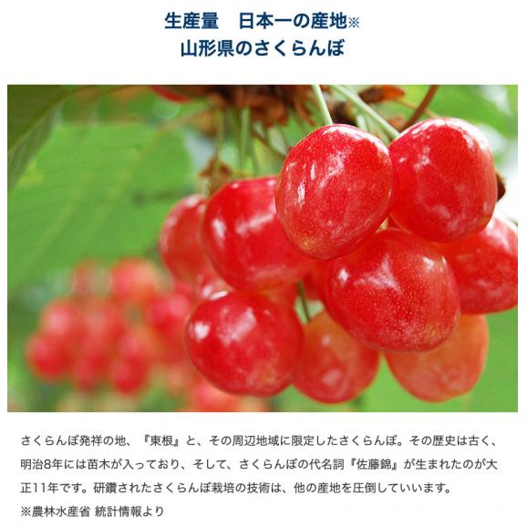母の日ギフト 佐藤錦 山形県産 温室さくらんぼ Lサイズ 特秀品 約300g 化粧箱 ※常温 カーネーション(造花)・メッセージカード付 産地直送 送料無料03