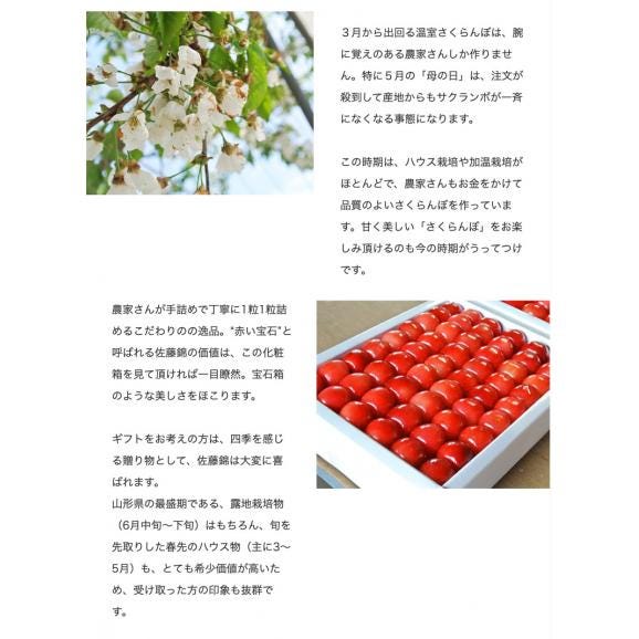 母の日ギフト 佐藤錦 山形県産 温室さくらんぼ Lサイズ 特秀品 約300g 化粧箱 ※常温 カーネーション(造花)・メッセージカード付 産地直送 送料無料04