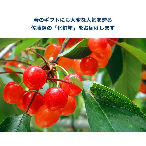 母の日ギフト 佐藤錦 山形県産 温室さくらんぼ Lサイズ 特秀品 約300g 化粧箱 ※常温 カーネーション(造花)・メッセージカード付 産地直送 送料無料05