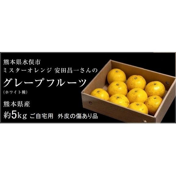 農薬不使用 安田昌一さんの完熟グレープフルーツ 外皮の傷あり品 ホワイト種 熊本県産 約5kg （目安：8〜12玉）簡易箱 ※常温 送料無料03