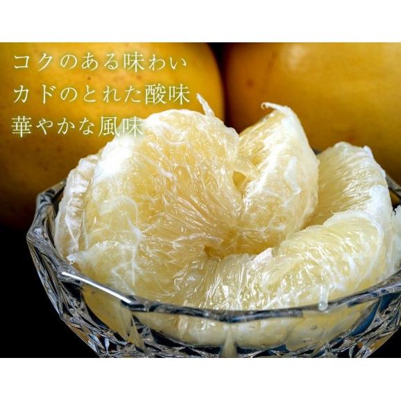 農薬不使用 安田昌一さんの完熟グレープフルーツ 外皮の傷あり品 ホワイト種 熊本県産 約5kg （目安：8〜12玉）簡易箱 ※常温 送料無料04